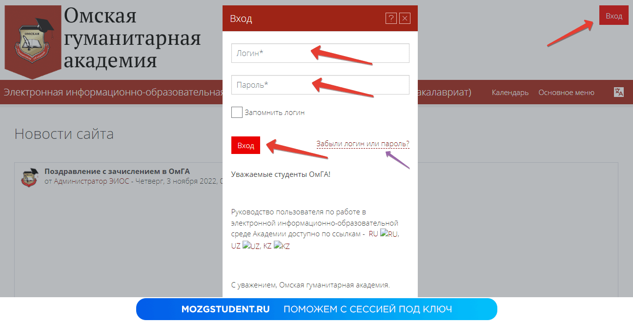 Личный кабинет ОмГА