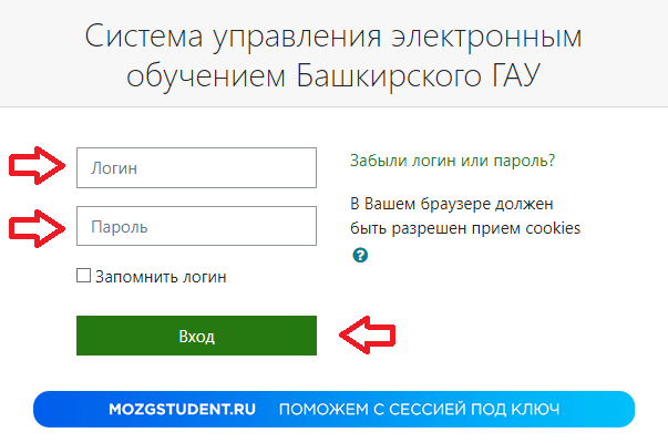 Вход БГАУ
