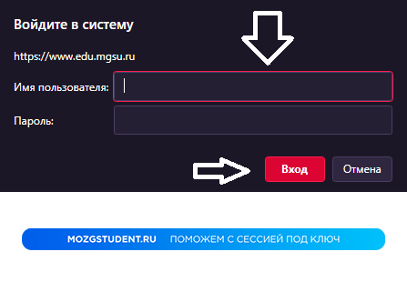 Вход МГСУ
