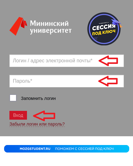 Вход Мининский университет
