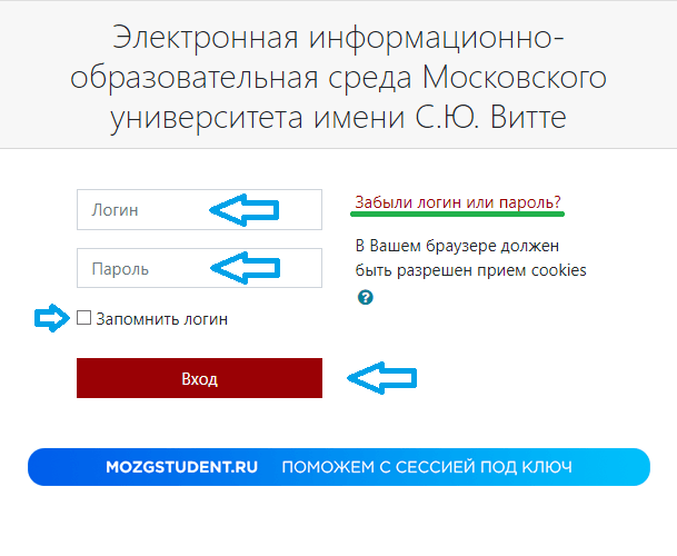 Вход Витте